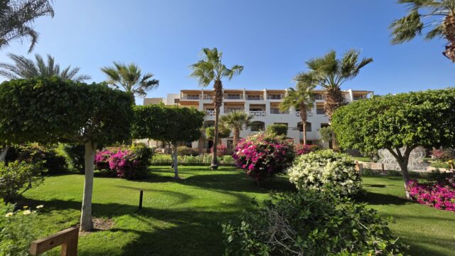 334d381e-f461-4b4c-b06e-b1733e3235bf